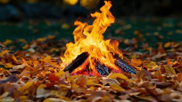 【初心者向け】焚き火のやり方完全ガイド｜安全・片付け・マナーまで解説